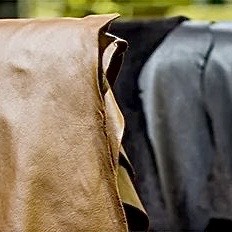 ฟอกหนัง